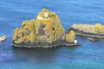 PICTURES/Northern Ireland - Carrick-a-Rede Rope Bridge/t_Coastal Shot20.JPG